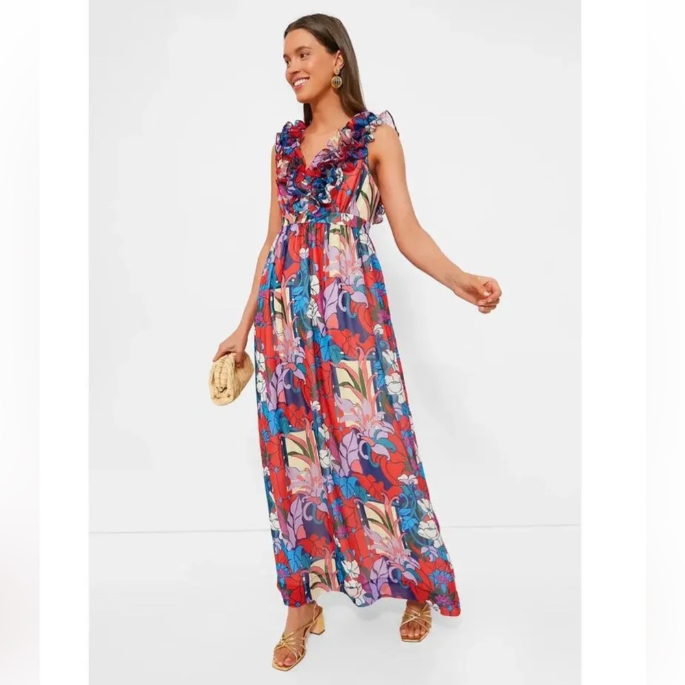 Tuckernuck Climbing Cosmos Priscilla Ruffle Maxi Dress Red Blue Statement Size S